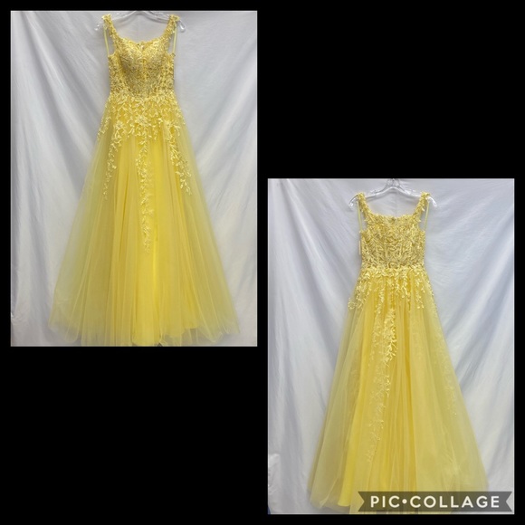 Ellie Wilde embroidered fit and flare sleeveless long Gown - Picture 10 of 11